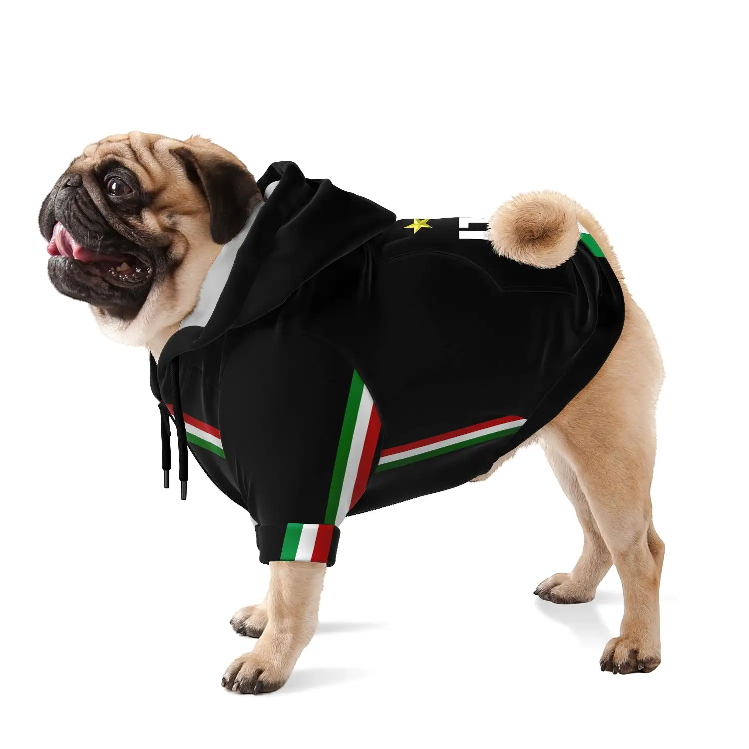 Dog Hoodie - Italia black